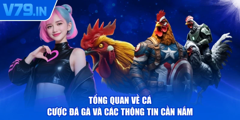 Tổng quan về cá cược đá gà và các thông tin cần nắm